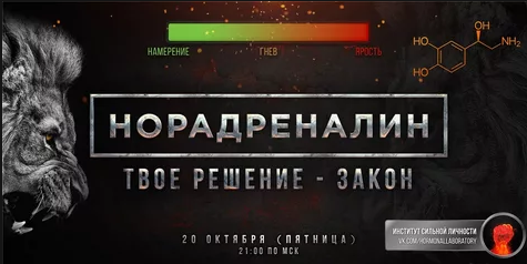 Михаил Рысак - Норадреналин. Твое решение - закон _0.png